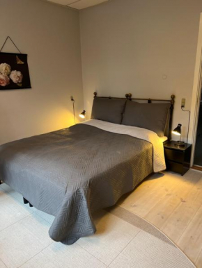 Apothekergaarden Stege stuen mod gårdhaven, Stege